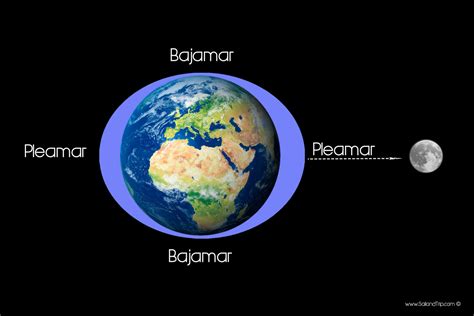 marea wikipedia|pleamar y bajamar.